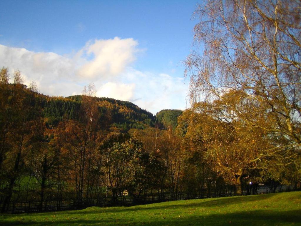 Llety Betws Otel Dış mekan fotoğraf